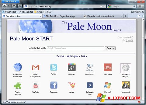 Screenshot Pale Moon Windows XP