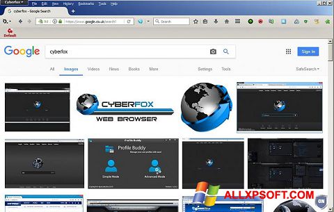 Screenshot Cyberfox Windows XP
