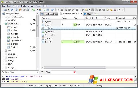 Screenshot HeidiSQL Windows XP
