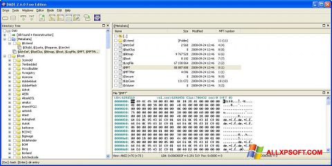 Screenshot DMDE Windows XP
